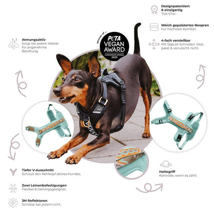 Hundegeschirr – Mint/Orange – Kollektion Très Chic von Hey Lana - Pfotenlieblinge