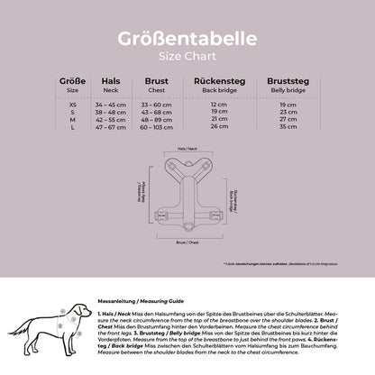 Hundegeschirr – Mint/Orange – Kollektion Très Chic von Hey Lana - Pfotenlieblinge