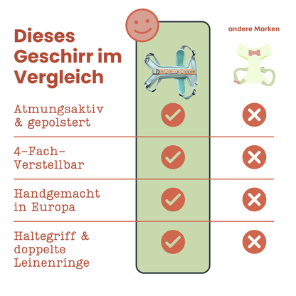 Hundegeschirr – Mint/Orange – Kollektion Très Chic von Hey Lana - Pfotenlieblinge