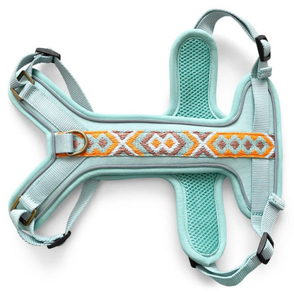 Hundegeschirr – Mint/Orange – Kollektion Très Chic von Hey Lana - Pfotenlieblinge