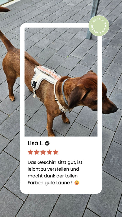 Hundegeschirr Pink/Beige – Verstellbar – Kollektion Très Chic