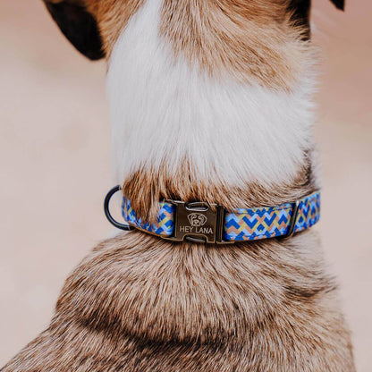 Hundehalsband Kunterbunt – Mocca/Blau - Pfotenlieblinge