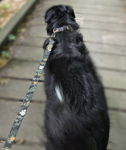 Forest Walkies Set – Nachhaltige Leine &amp; Halsband aus rPet &amp; Kaktusleder, handgemacht