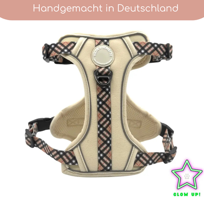 Leuchtendes Step-In Hundegeschirr