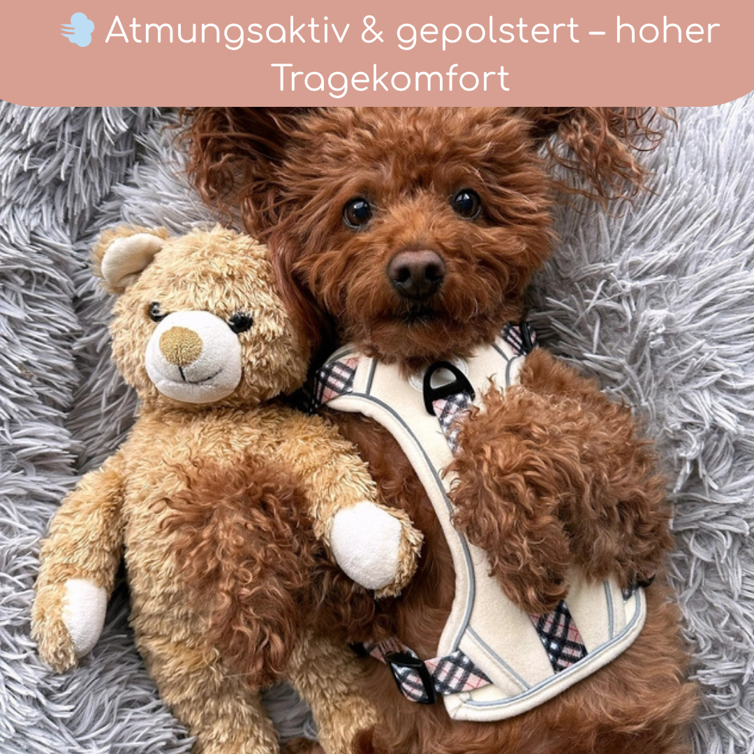 Leuchtendes Step-In Hundegeschirr