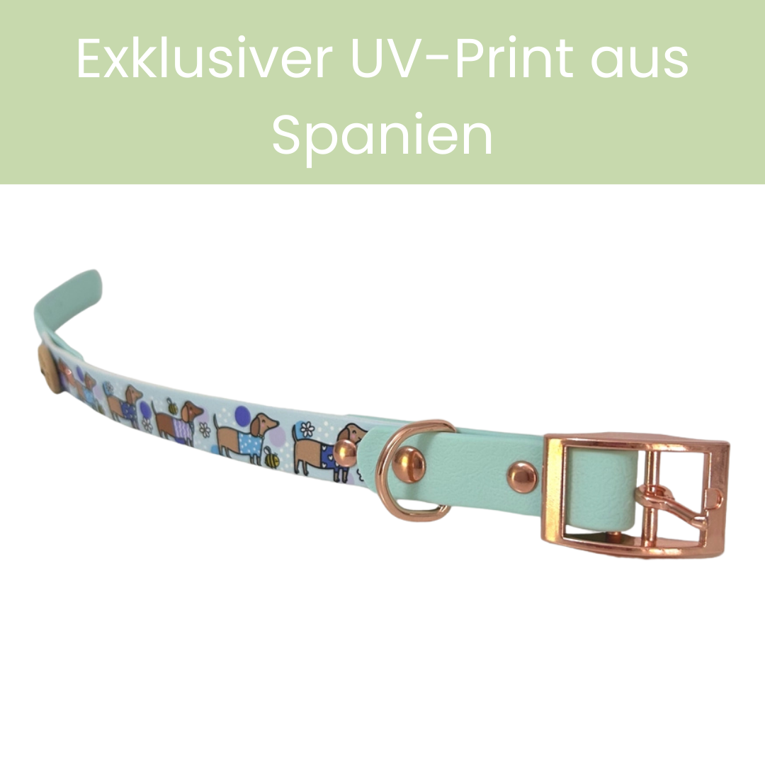 Bee Happy Dachshunds — Handgefertigtes Biothan-Hundehalsband — Babyblau