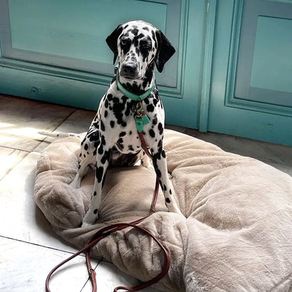 Snoozy Hundekissen – Weiches Schaffell-Design für traumhaften Komfort