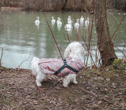 Jacke mit Geschirr - Zauberwald