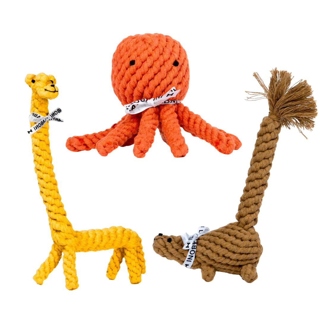 3 Bestseller im Set zum Vorteilspreis