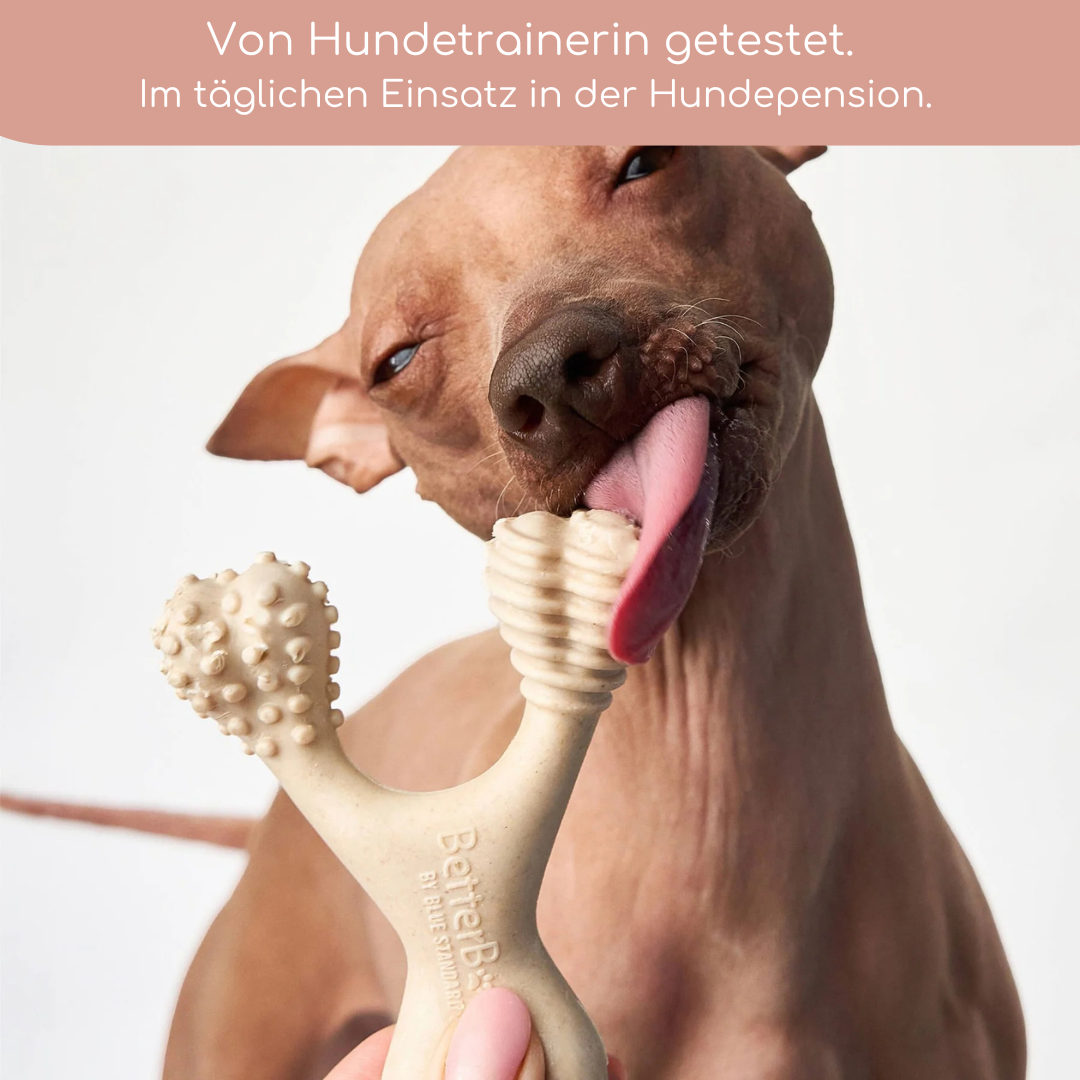 BetterBone Hundeknochen – nachhaltig &amp; zahnfreundlich