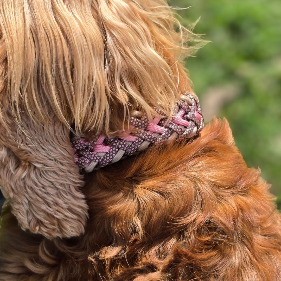 Handgemachtes Paracord-Hundehalsband "Spring Blush"