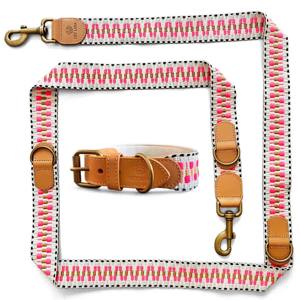 Sparset: Halsband &amp; Leine in Pink/Beige