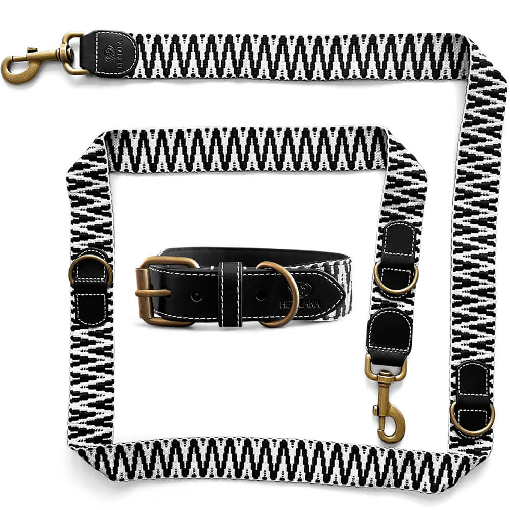 Sparset: Halsband &amp; Leine in Schwarz/Weiß