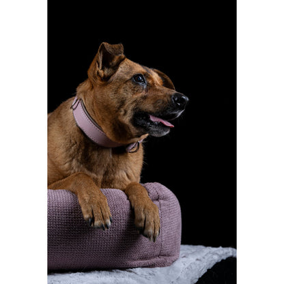 LABONI CLASSIC Hundebett TUDOR – Hochwertiges, pflegeleichtes Designer - Hundebett - Pfotenlieblinge