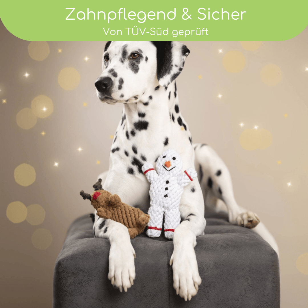 LABONI Weihnachts - Set – Shawn, Santa Sausage &amp; Rudi Rentier - Pfotenlieblinge