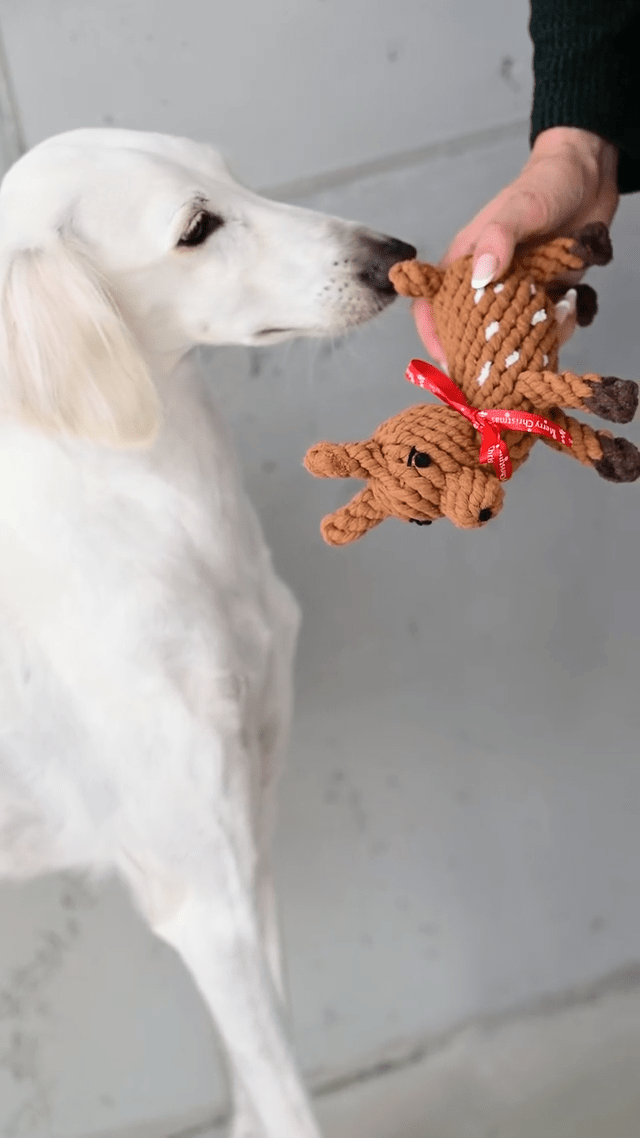 LABONI Weihnachts - Set – Shawn, Santa Sausage &amp; Rudi Rentier - Pfotenlieblinge