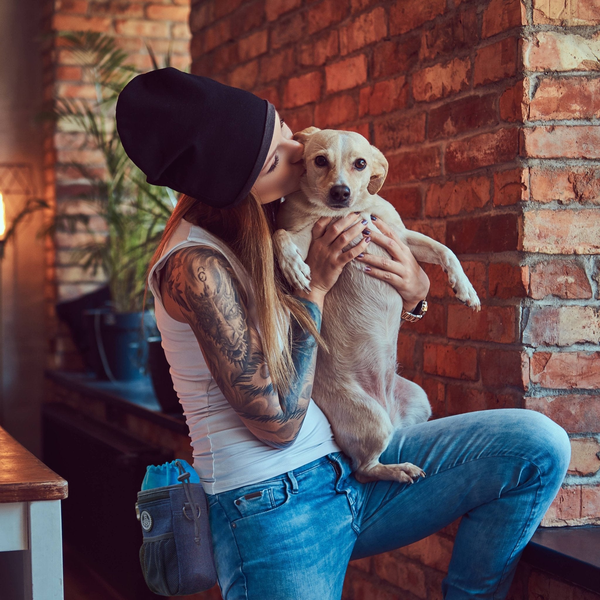 Leckerlibeutel für Hunde – Stylisch, praktisch &amp; immer alles griffbereit - Pfotenlieblinge