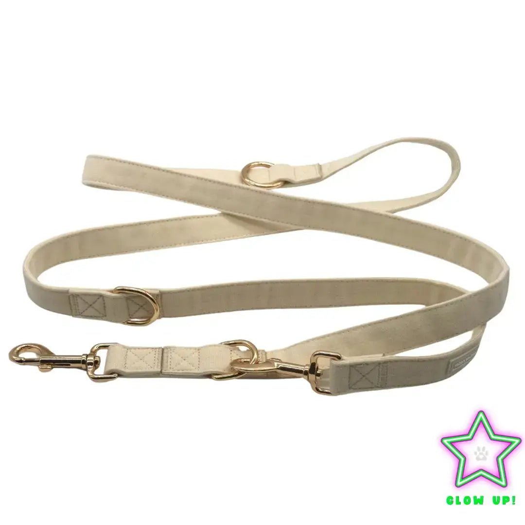 Leuchthundeleine GLOW – verstellbar, elegant &amp; sichtbar - Pfotenlieblinge