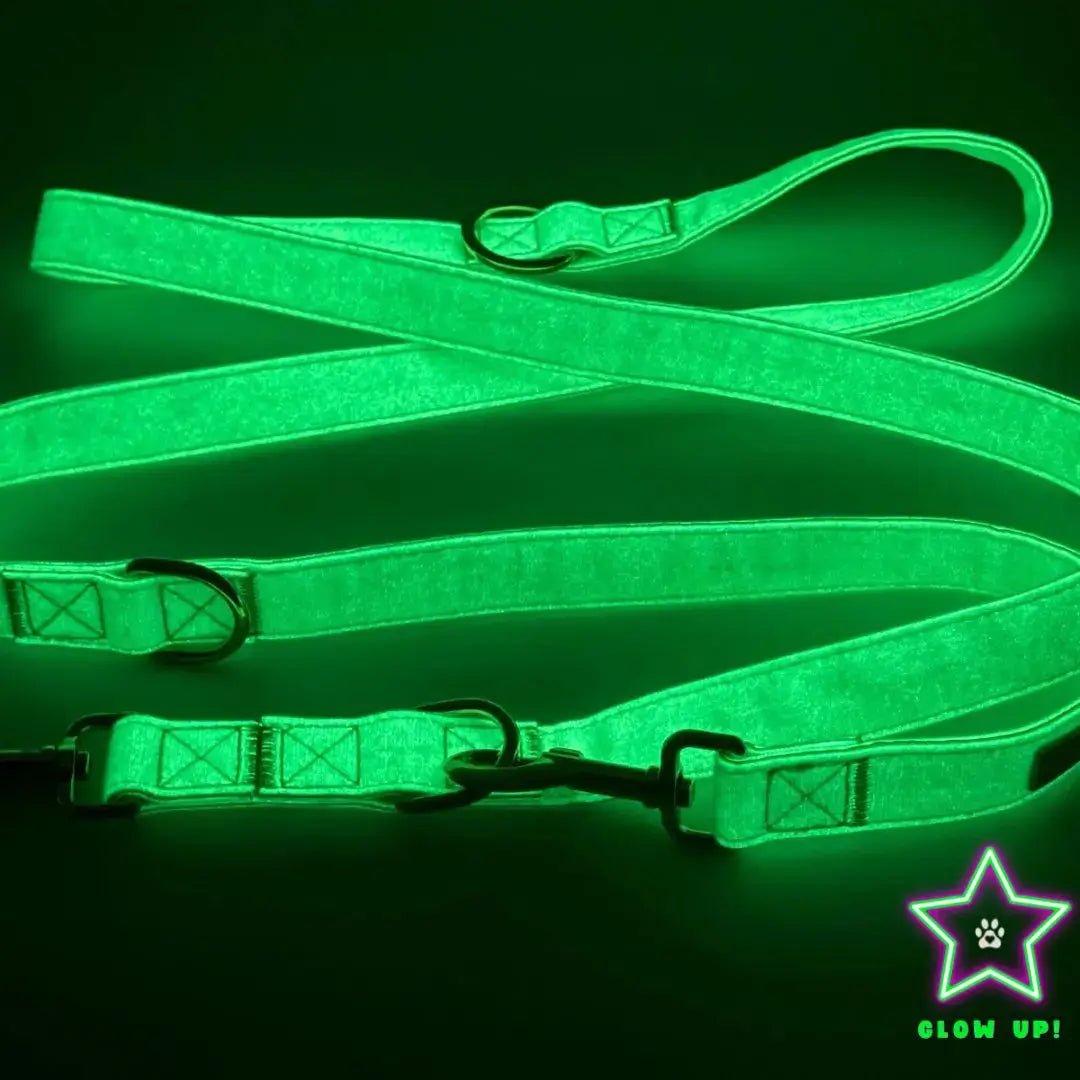 Leuchthundeleine GLOW – verstellbar, elegant &amp; sichtbar - Pfotenlieblinge