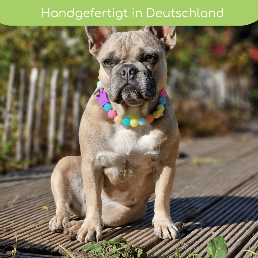 Leuchtkette „Princess“ für Hunde – handgefertigt &amp; ohne Strom - Pfotenlieblinge