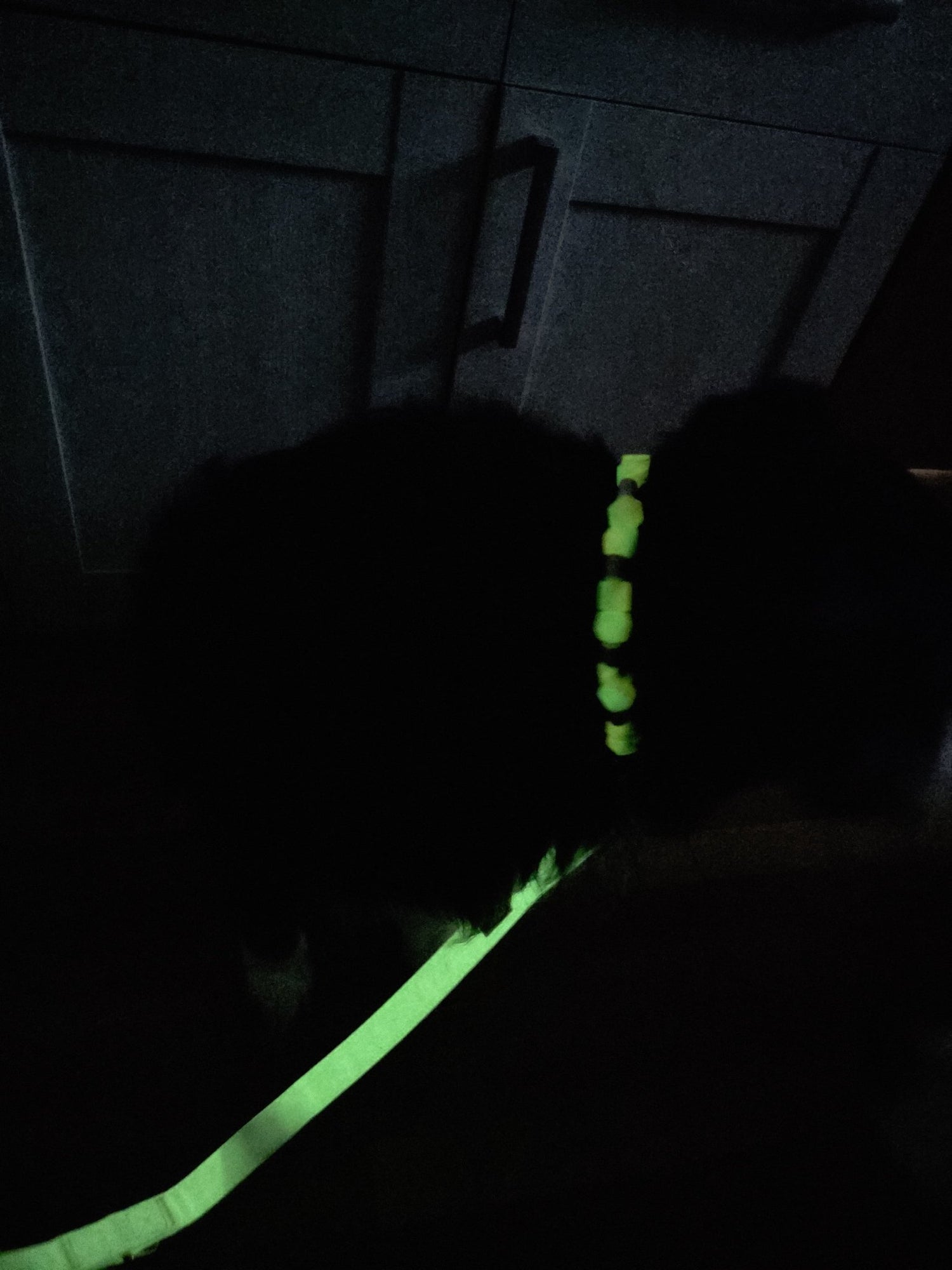 Leuchtset Leine „GLOW“ &amp; Leuchtkette Honeydew Melon - Pfotenlieblinge