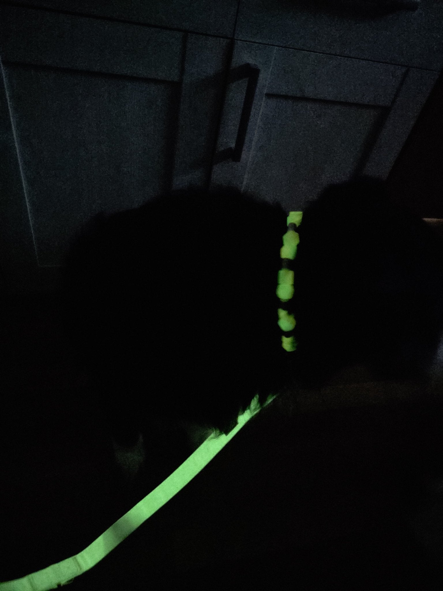 Leuchtset Leine „GLOW“ &amp; Leuchtkette Honeydew Melon - Pfotenlieblinge