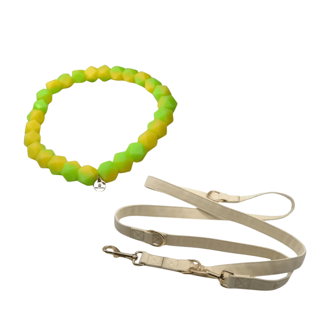 Leuchtset Leine „GLOW“ &amp; Leuchtkette Honeydew Melon - Pfotenlieblinge