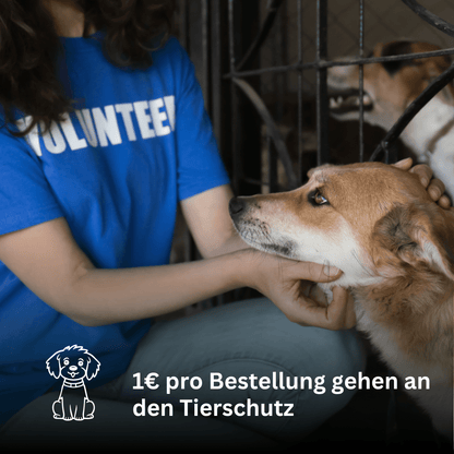 Leuchtset Leine „GLOW“ &amp; Leuchtkette Honeydew Melon - Pfotenlieblinge