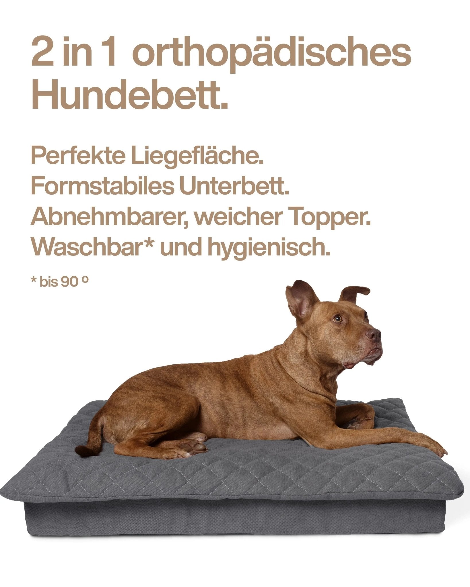 Lous 2 in 1 Hundebett mit abnehmbarem Topper für zu Hause und unterwegs.