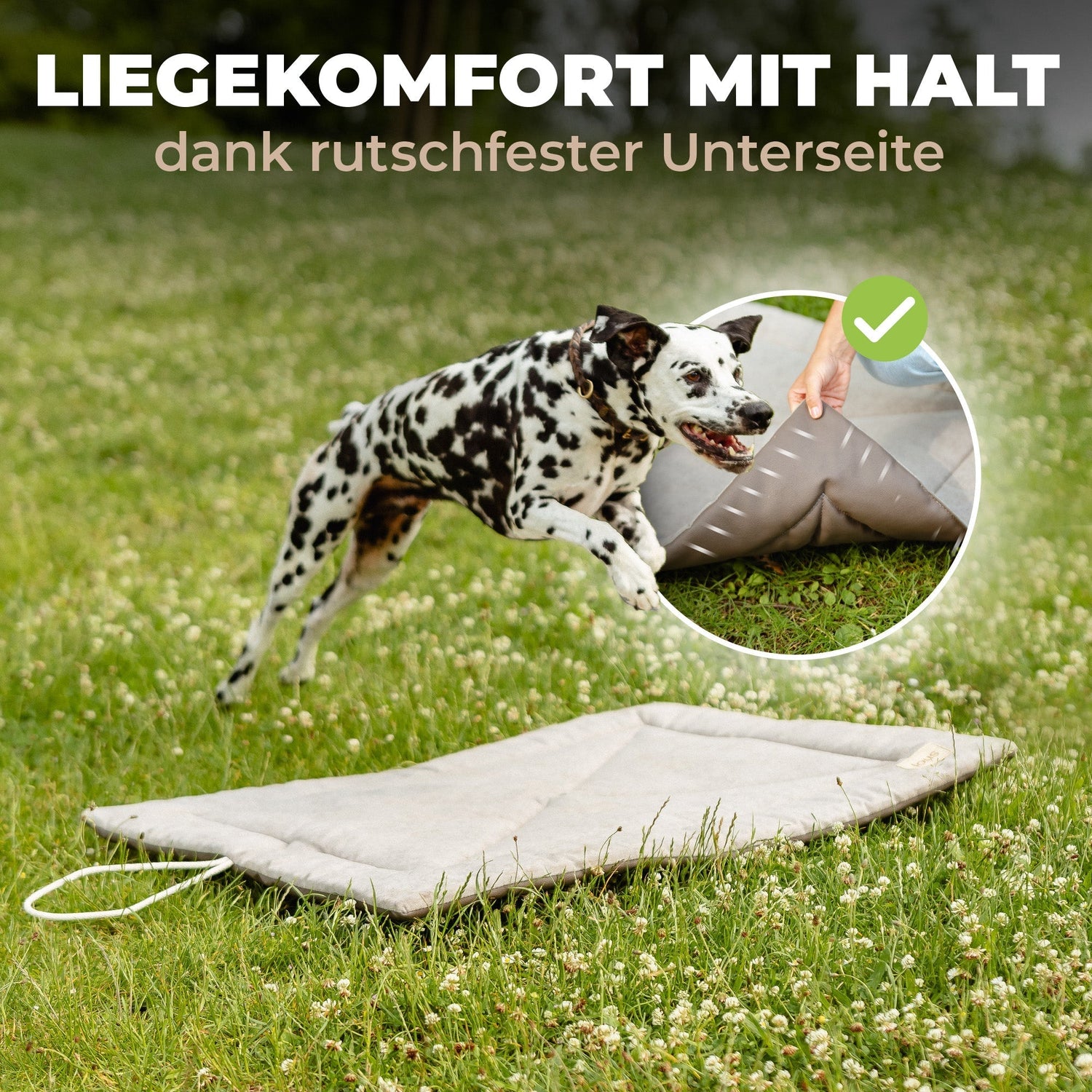 Lous Hunde Picknickdecke