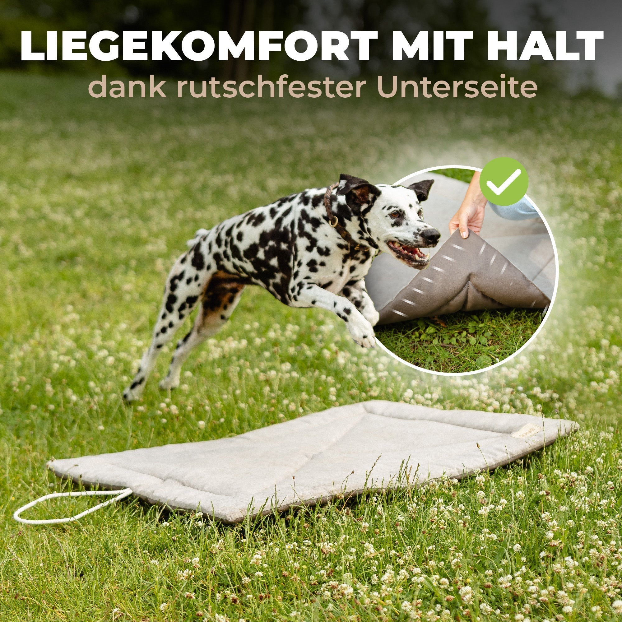 Lous Hunde Picknickdecke