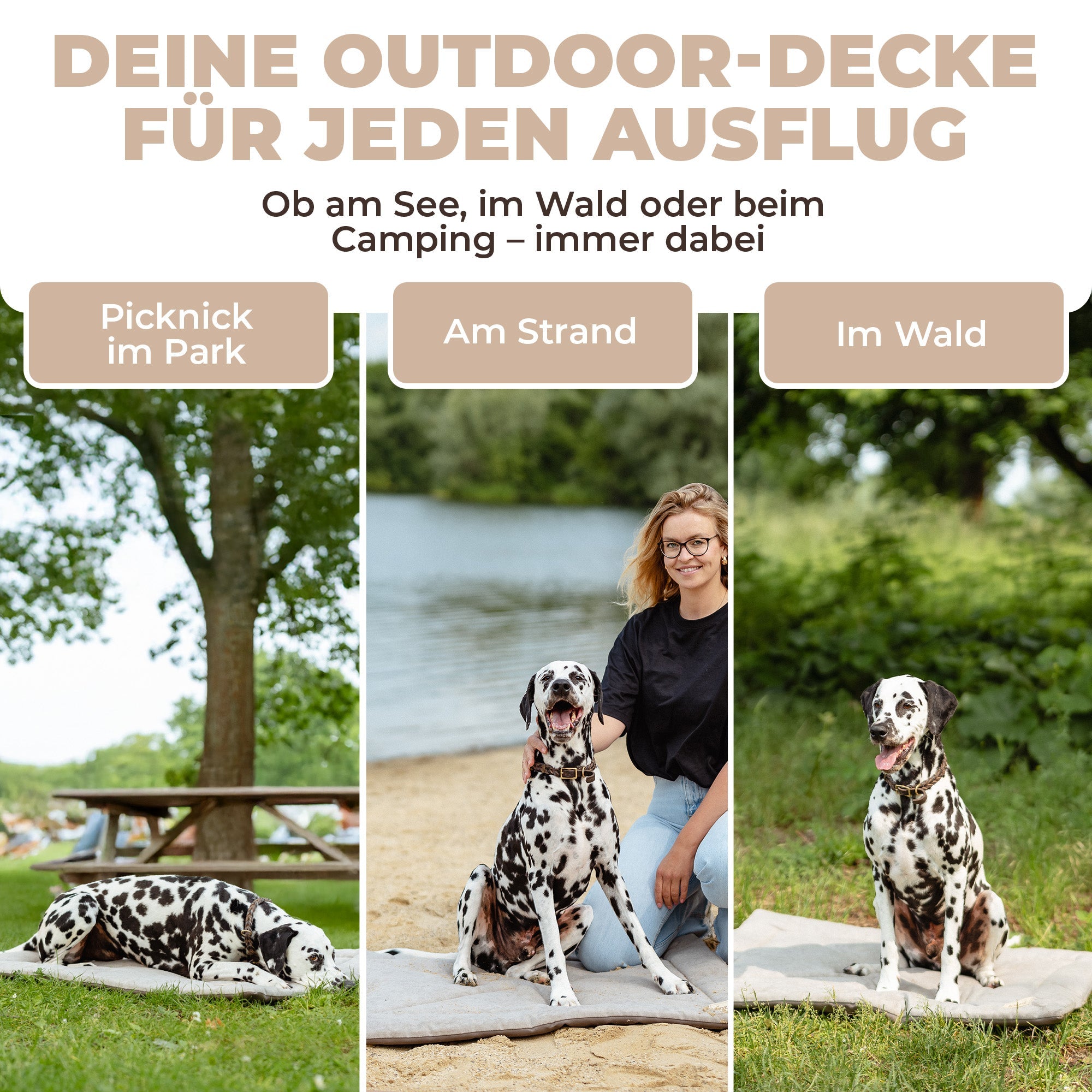Lous Hunde Picknickdecke
