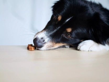 Natürliche Kaninchenwürfel für Hunde – gesunde Belohnung aus 100 % Fleisch - Pfotenlieblinge