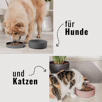 NENO Silikon - Futternapf mit Deckel – Praktisch, vielseitig &amp; durchdacht - Pfotenlieblinge
