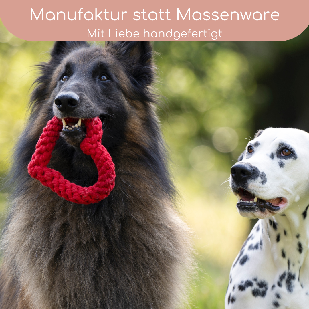 LABONI Heart ❤️ – Handgeknüpftes Hundespielzeug aus Baumwolle