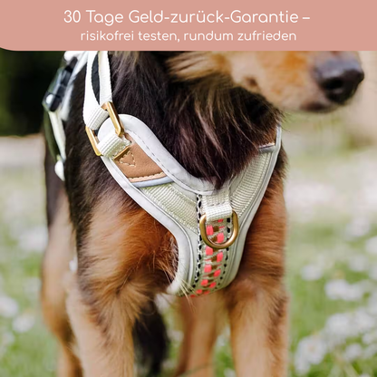 Hundegeschirr Pink/Beige – Verstellbar – Kollektion Très Chic