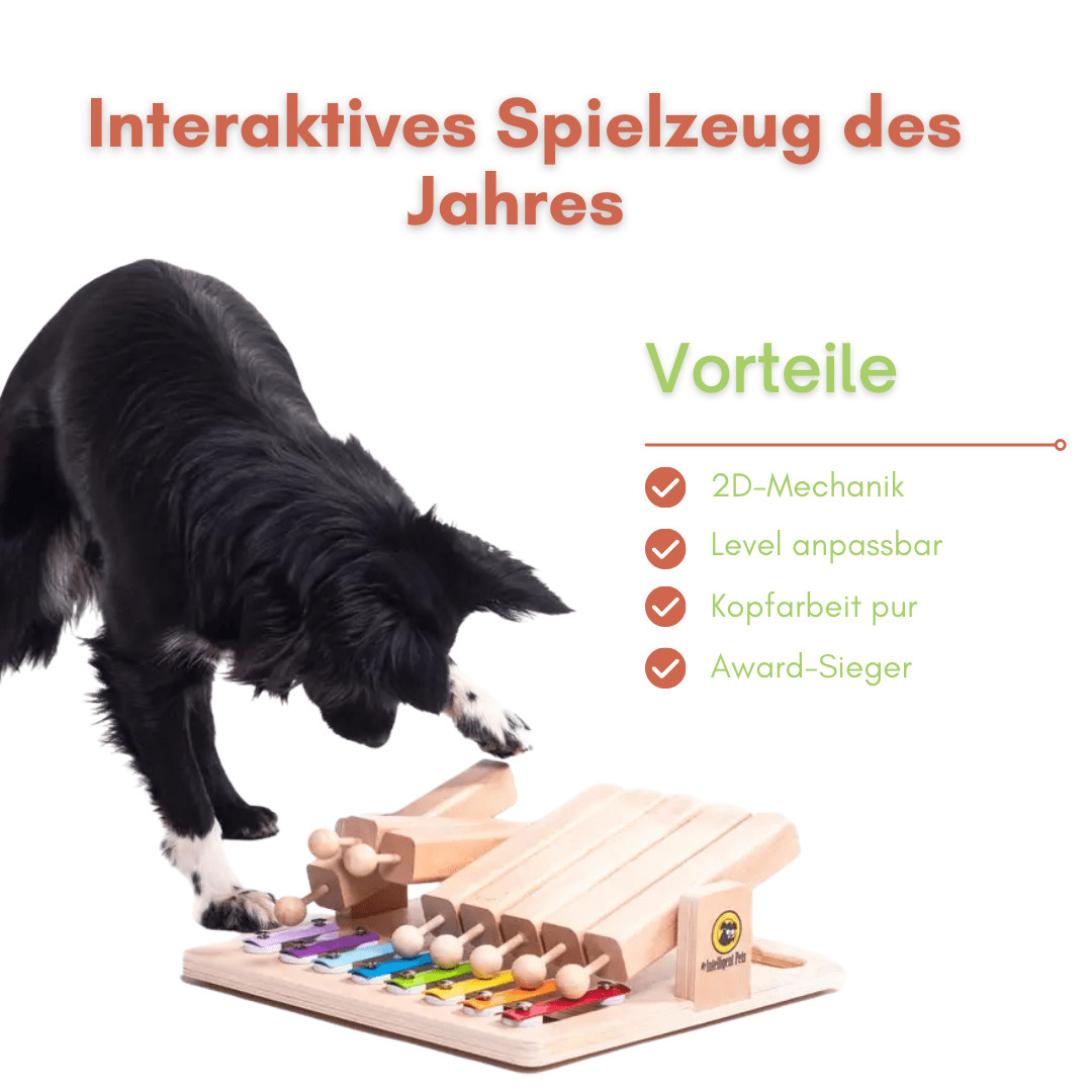 Piano - Interaktives Haustierspielzeug des Jahres Intelligenzspielzeug - Pfotenlieblinge