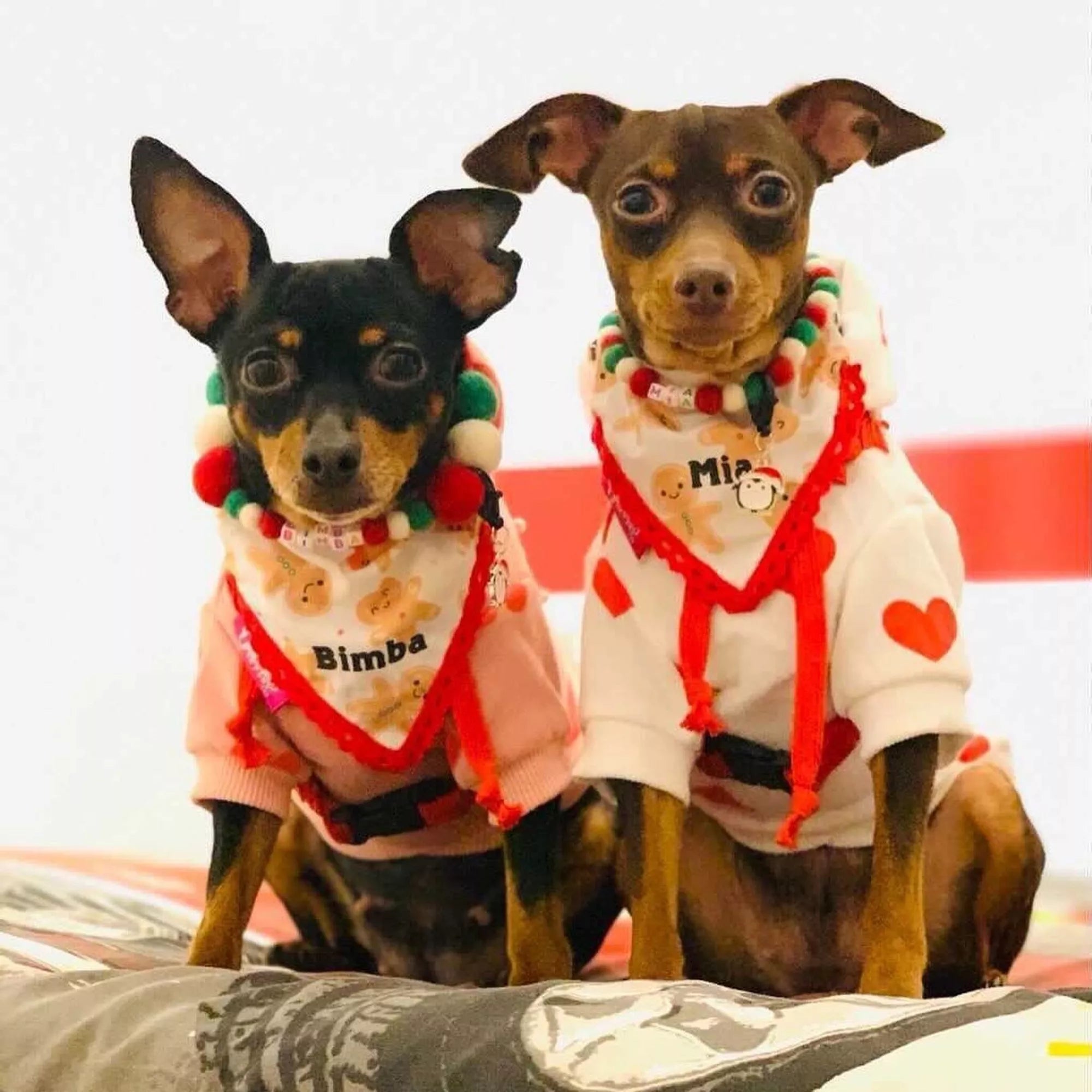 Pompon - Halsband „Christmas Edition“ – handgefertigt &amp; festlich - Pfotenlieblinge