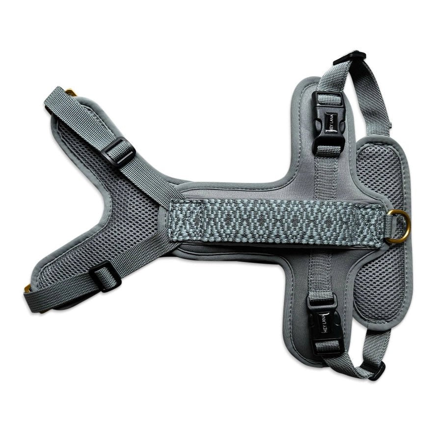 Premium Hundegeschirr – Anthrazit/Eisblau - Kollektion Tres Chic - Pfotenlieblinge