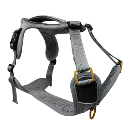 Premium Hundegeschirr – Anthrazit/Eisblau - Kollektion Tres Chic - Pfotenlieblinge