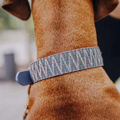 Sparset: Halsband &amp; Leine in Blau/Grau