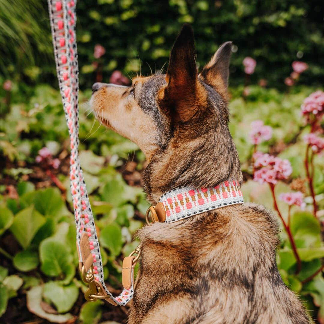 Hundehalsband – Pink/Beige – Kollektion Très Chic Hey Lana - Pfotenlieblinge