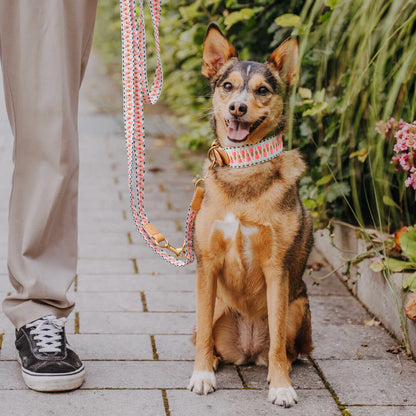 Hundehalsband – Pink/Beige – Kollektion Très Chic Hey Lana - Pfotenlieblinge