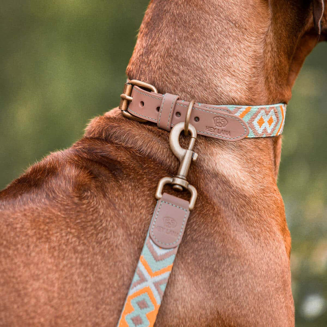 Sparset: Halsband &amp; Leine in Mint/grün