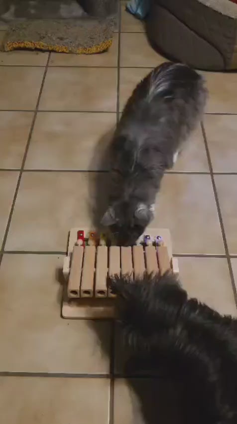 Piano – Interaktives Intelligenzspielzeug für Hunde – Spielzeug des Jahres