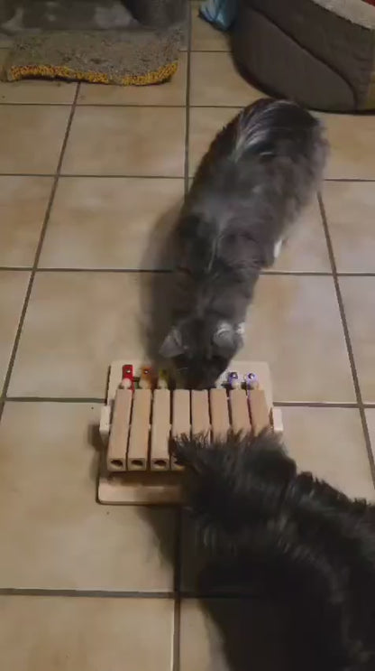 Piano – Interaktives Intelligenzspielzeug für Hunde – Spielzeug des Jahres