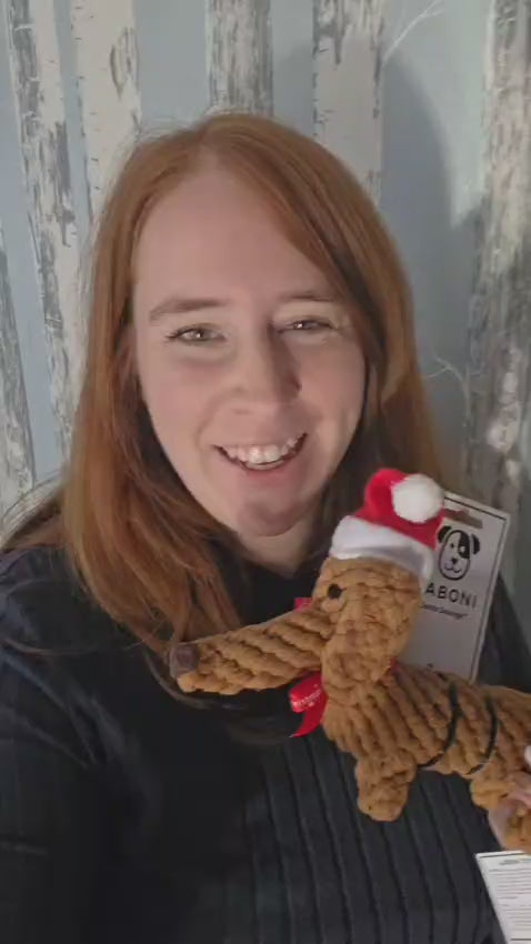 Santa Sausage – der Weihnachtsdackel - LIMITIERT