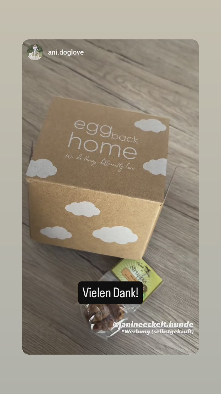 Cloud Sunset „Dog Mom“ – Steingut Tasse 500 ml