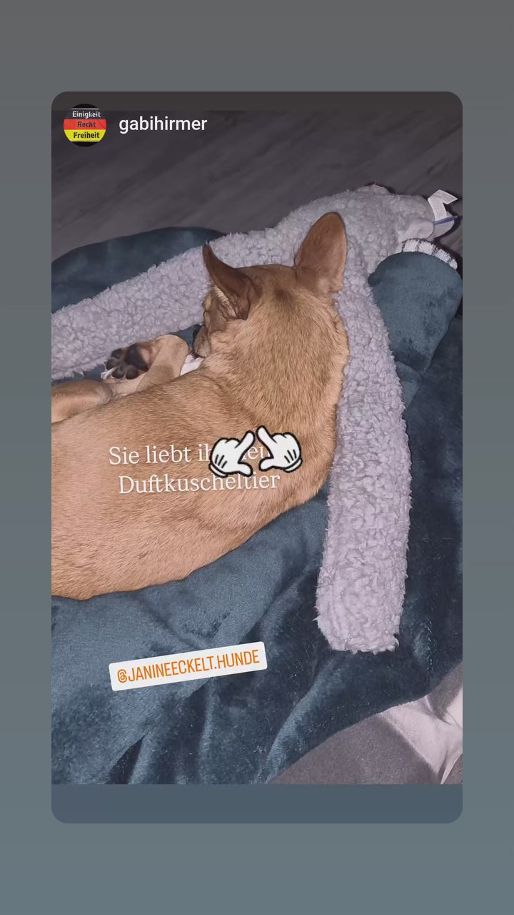 Antistress-Plüschtier mit ätherischen Ölen - Rosicchio