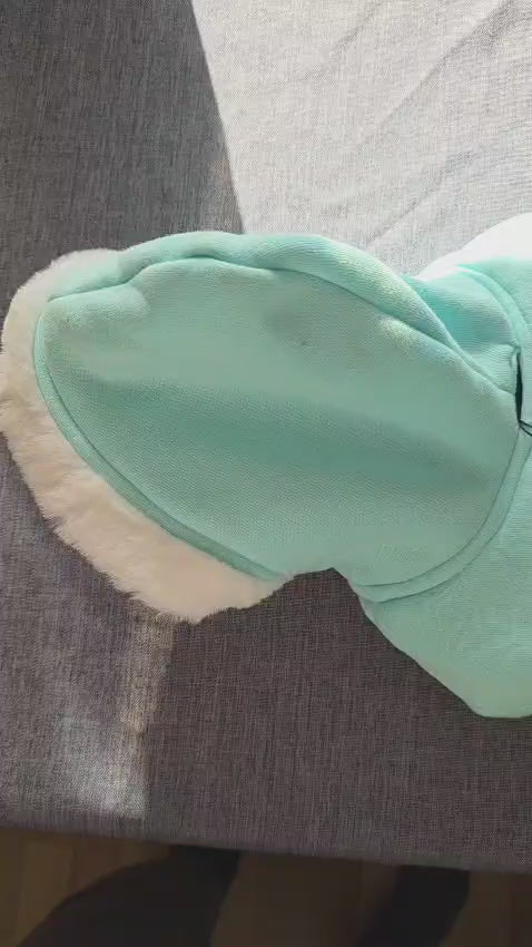 Sweatshirt für Hunde - Christmas Ginger - Crosses